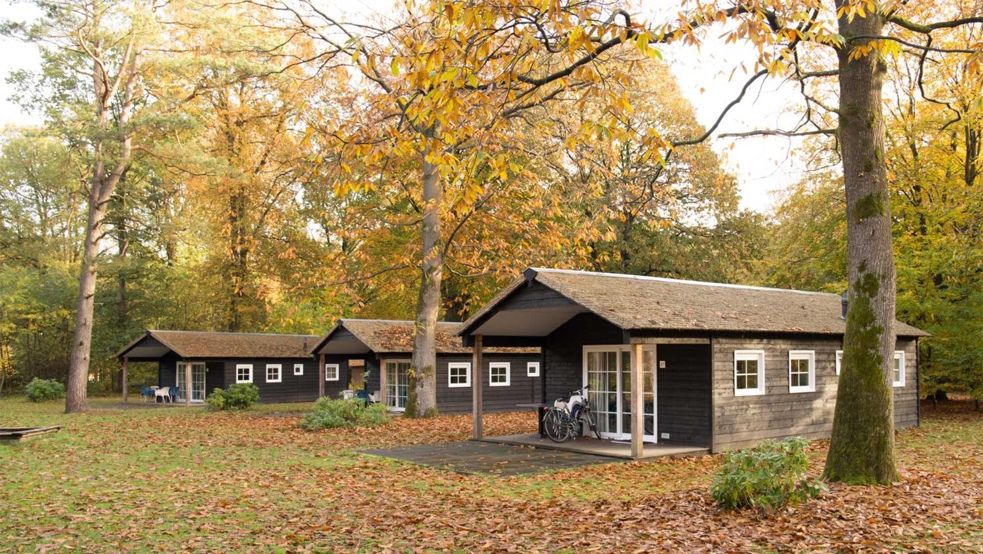 Molecaten Park De Leemkule Hattem Room photo