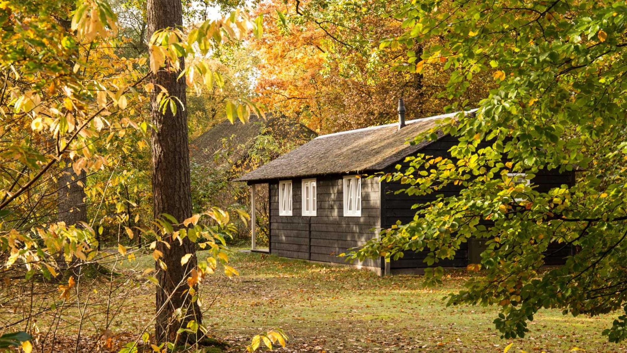 Molecaten Park De Leemkule Hattem Room photo